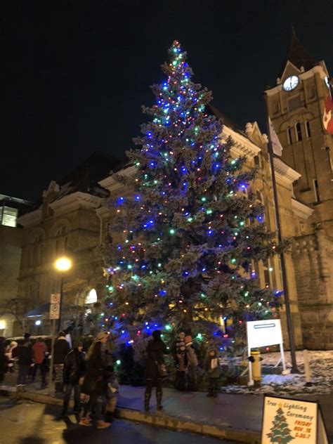 Several streets downtown to close Friday for lighting of Old Oak Tree